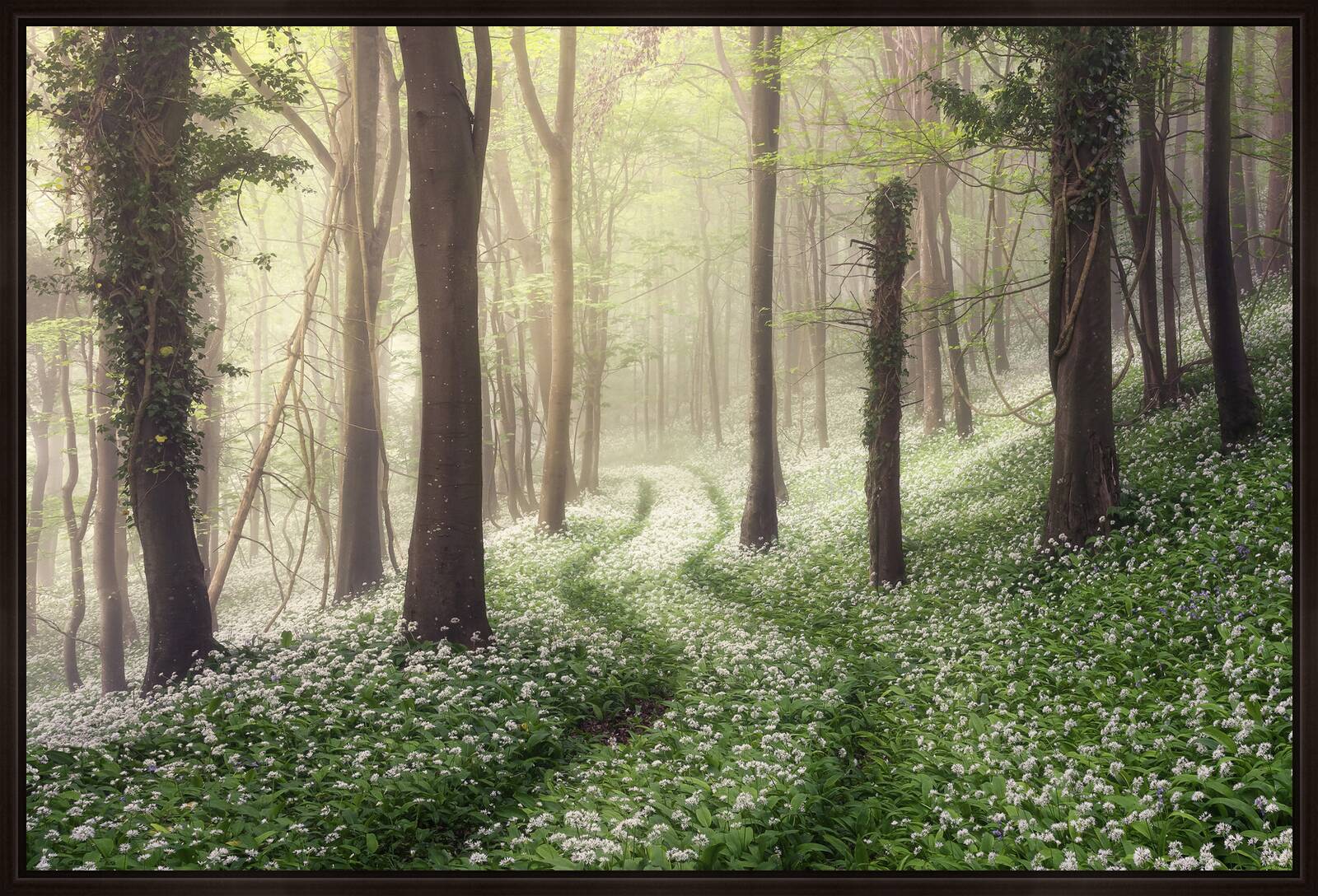 Spring Greens by Chris Frost - Limited Edition. Edition of: 150. Signed.