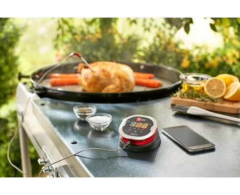 Weber iGrill 2