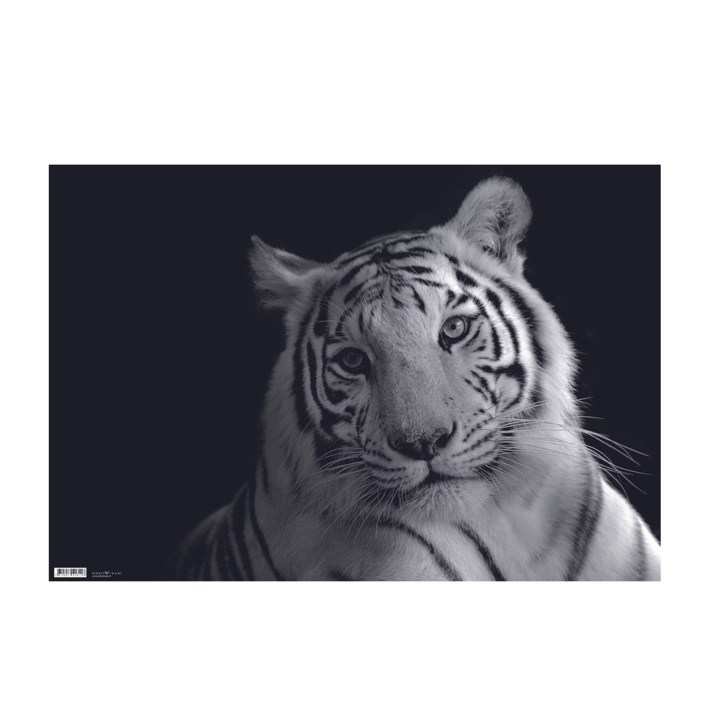 (60x40cm) Motiv Schreibunterlage Schreibtisch Schutz Bürotisch Matte (43064.000000) - Tiger