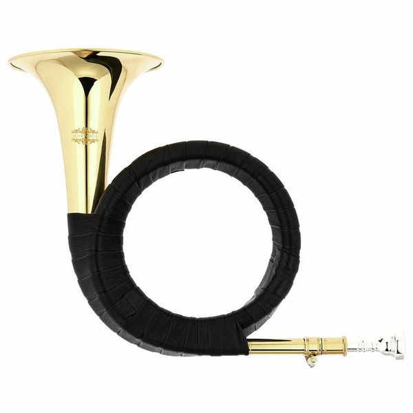 Thomann Bb- Fürst Pless Horn