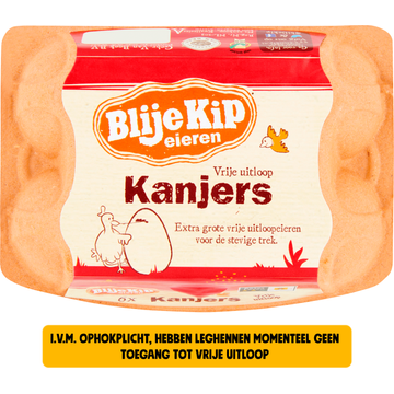 Blije Kip Eieren Vrije Uitloop Kanjers 6 Stuks
