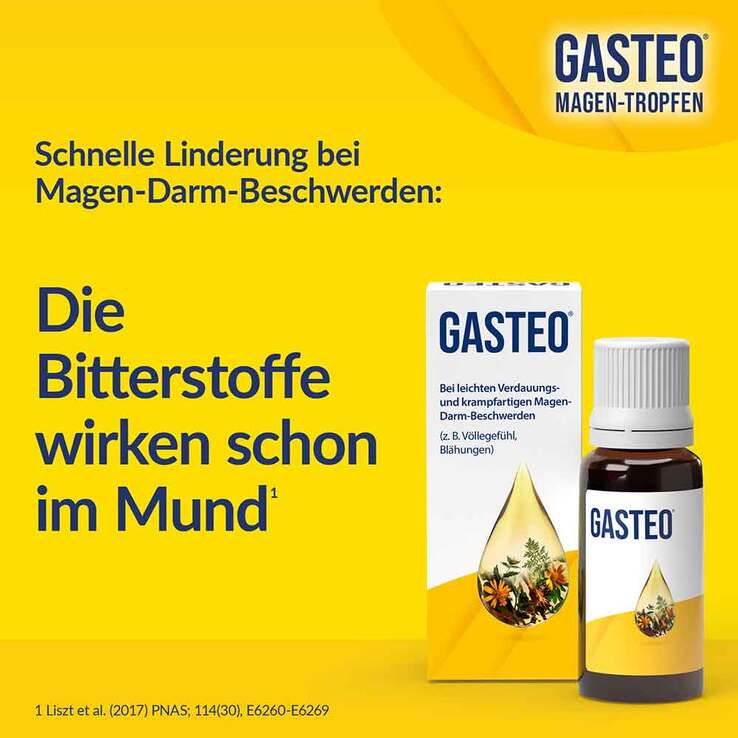 GASTEO Tropfen bei Magen-Darm-Beschwerden, 20 ml