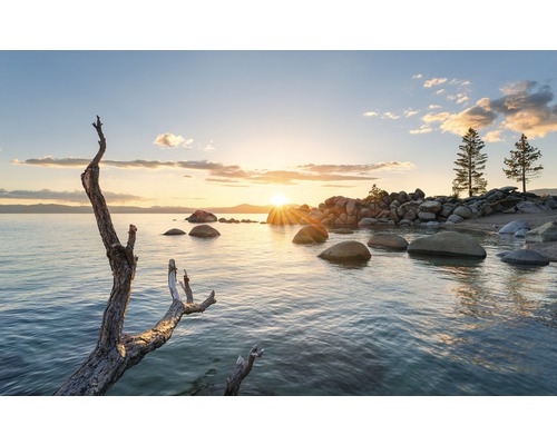 Vliesbehang SHX9-032 Final Light, set van 9 stuks, 450 x 280 cm