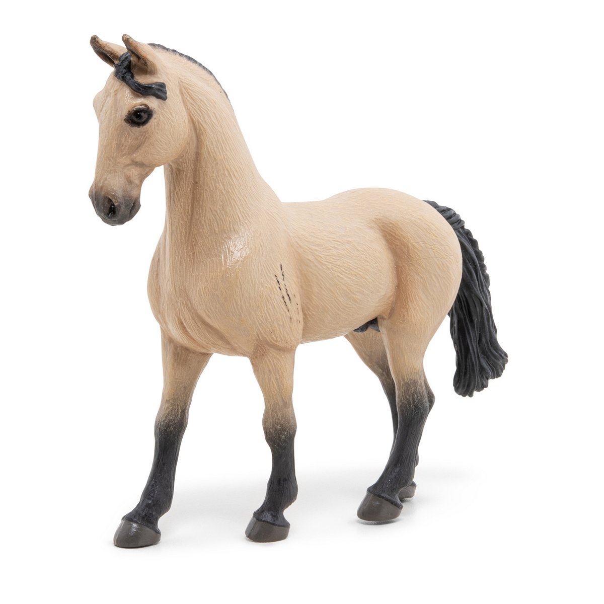 Cheval Lusitanien