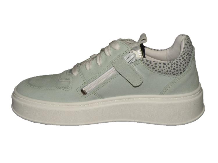 Giga G4136 vel.spr.green/velv.optic white