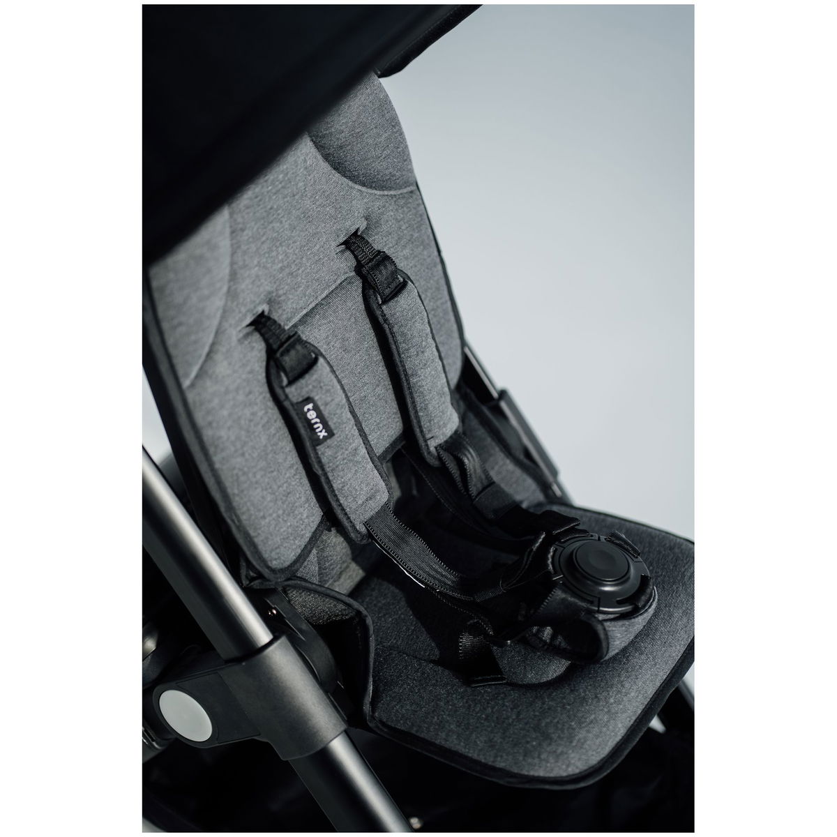 TernXTernX   Carry On Reisekinderwagen
