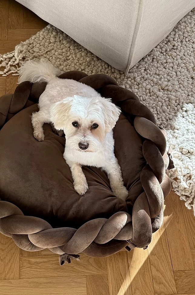 BRADY hunde-/katteseng