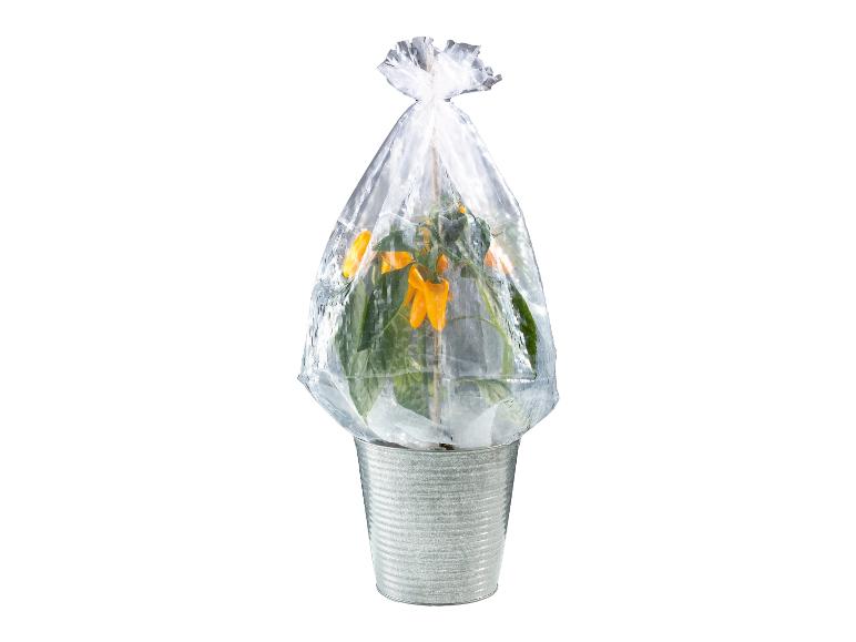 5 plantenhoezen