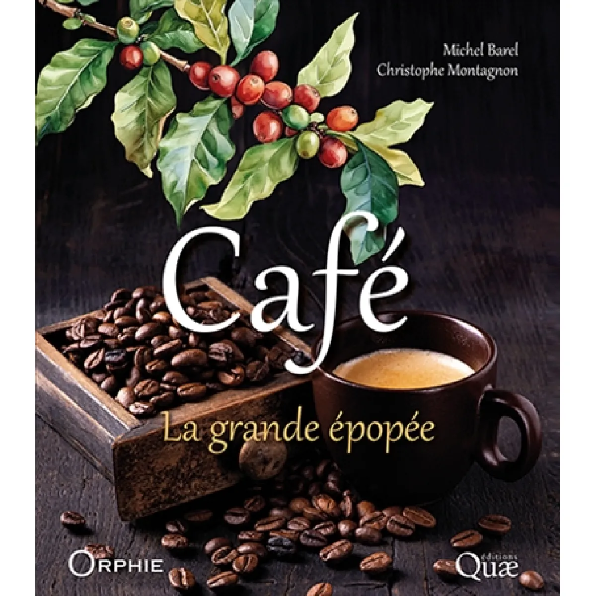 Café : la grande épopée