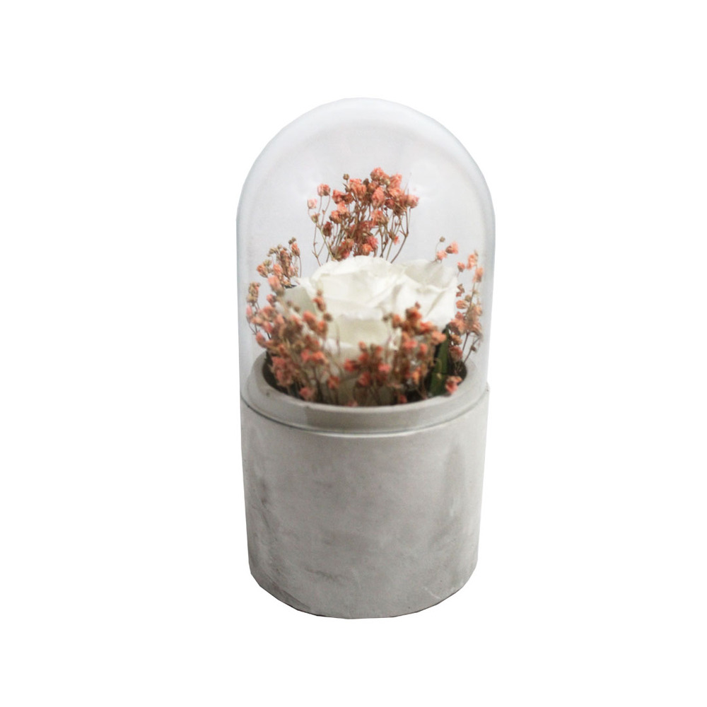 Rose éternelle blanche sous cloche en verre h.16
