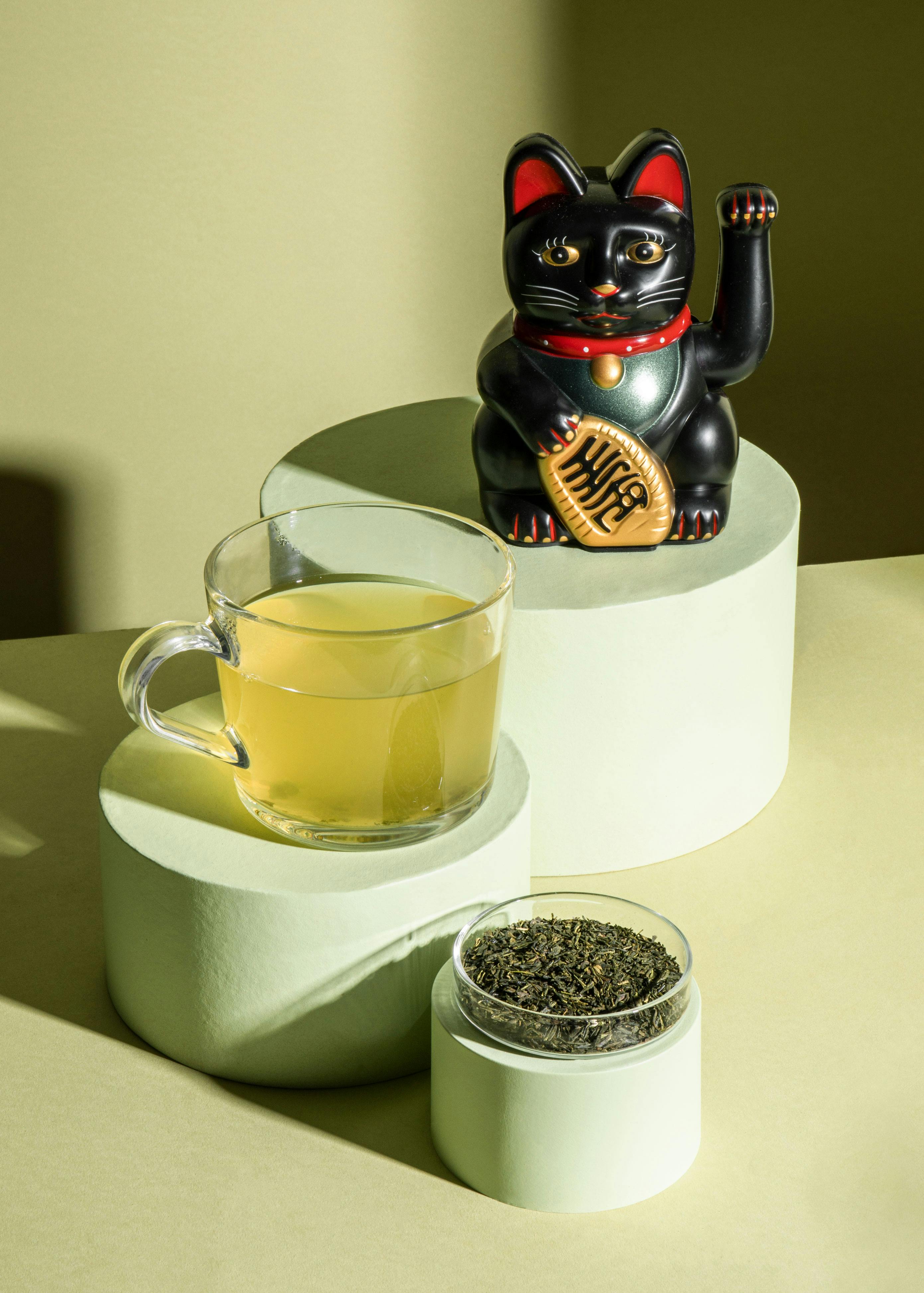 Bio Sencha Tee aus Japan 500 g