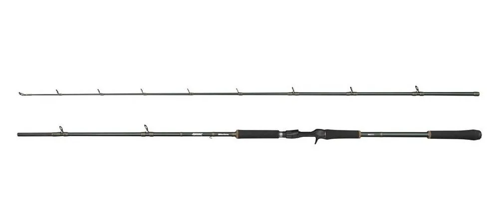 Abu Garcia Beast X Casting Rod