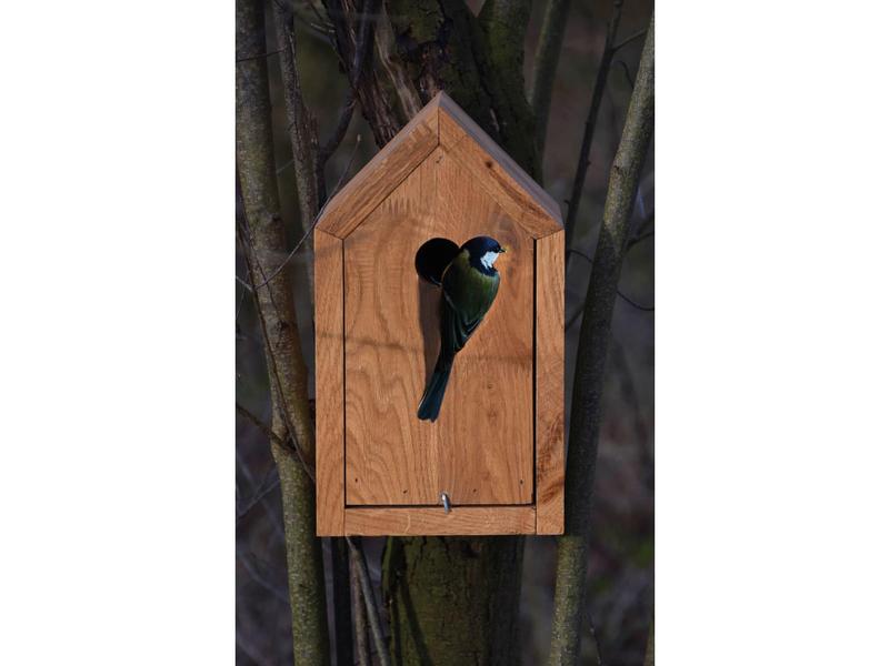 dobar green label Nistkasten Design, 16 x 16 x 28.5 cm, Hol Vogelnistkasten mit Spitzdach