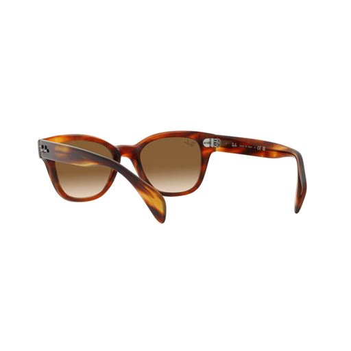 Ray Ban RB0880S Solbriller, Havana
