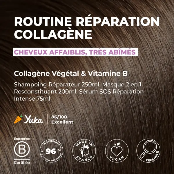 Kit de Colágeno Capilar Energético de Frutas - Rotina de Reparação Intensa