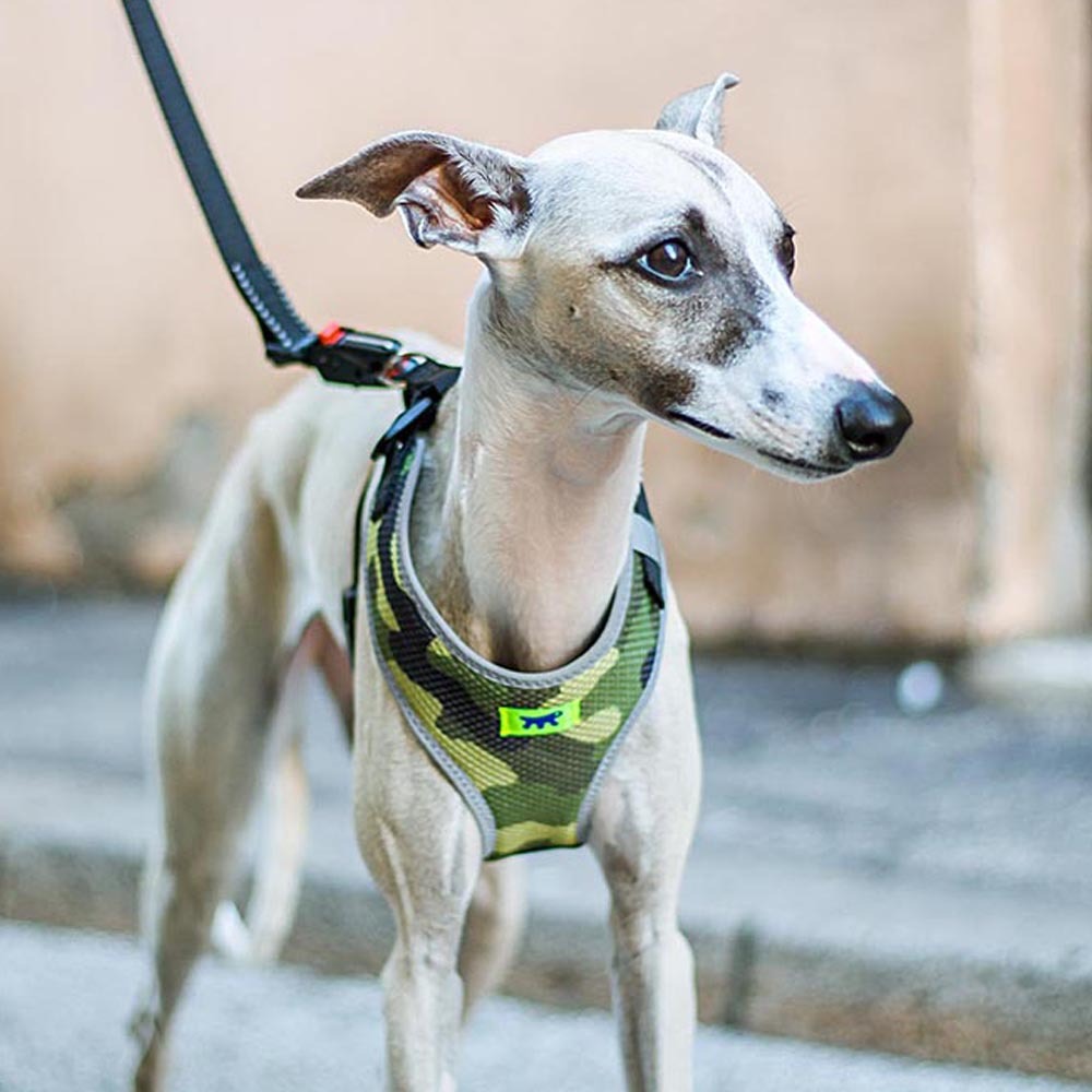 Harnais pour chiens nikita fashion m respirant, rembourré et ajustable