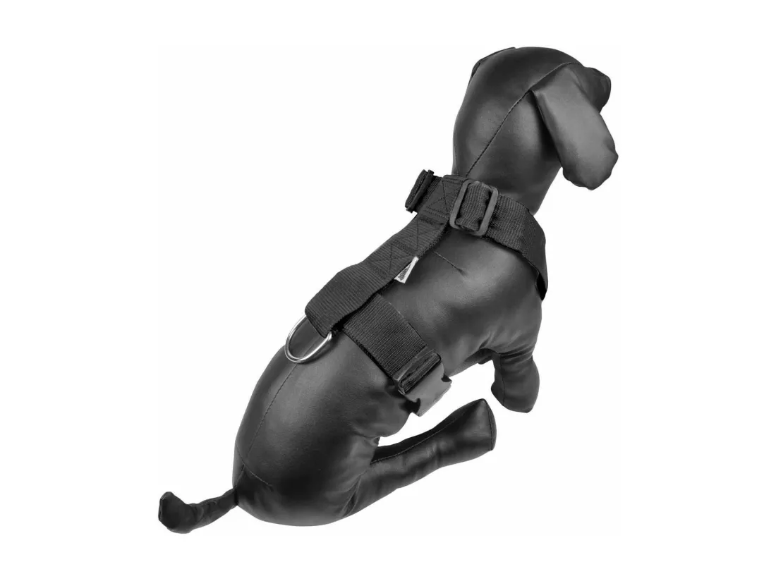 Harnais pour Chien 