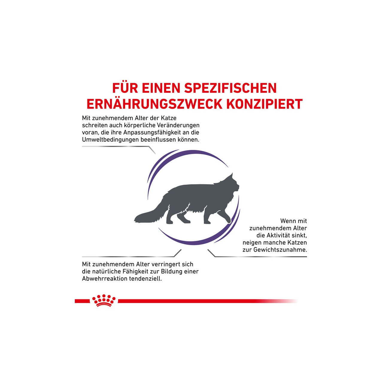 ROYAL CANIN Expert Mature Consult Balance 3,5 kg