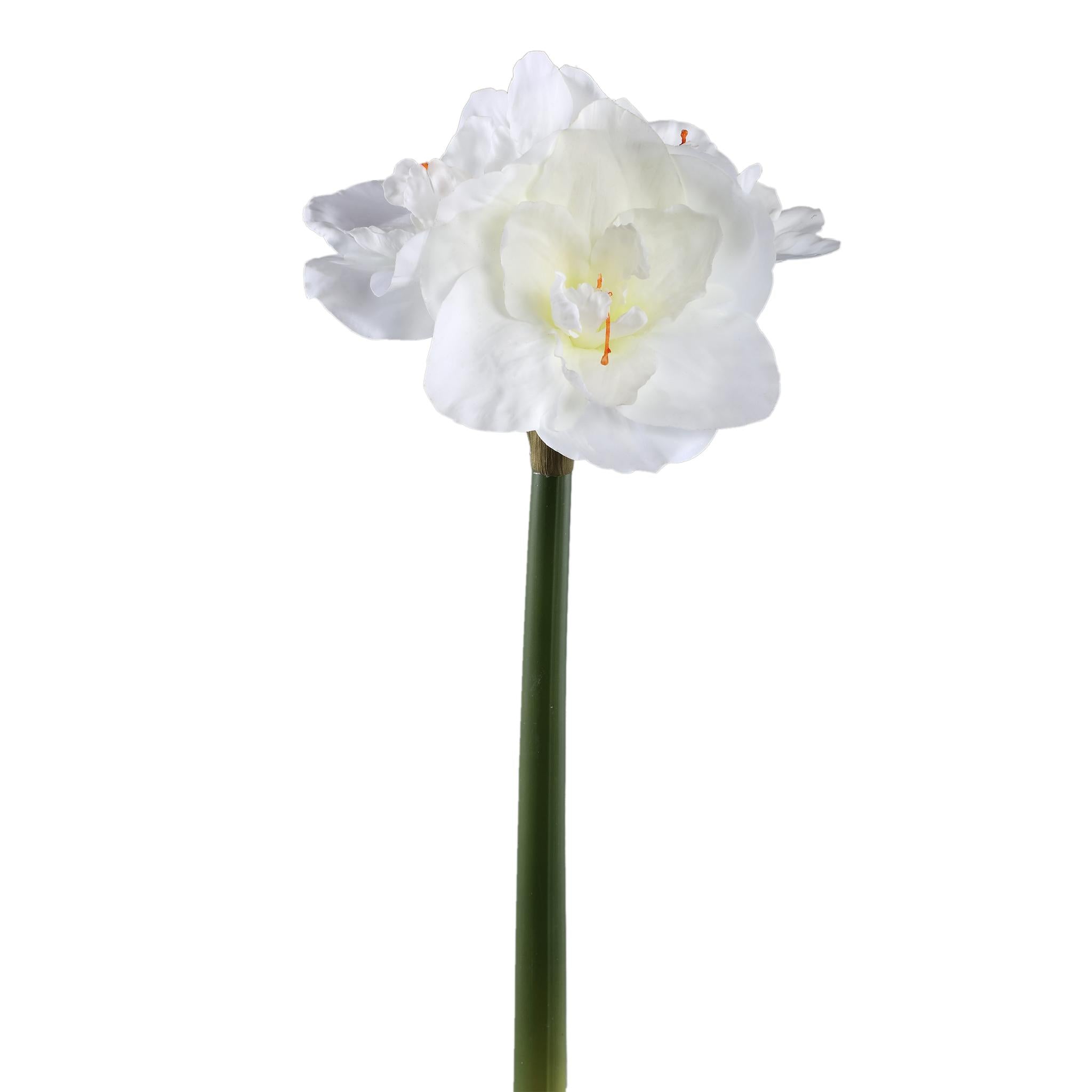 PTMD - Kunstbloem Amaryllis - Wit - 17x38x75cm