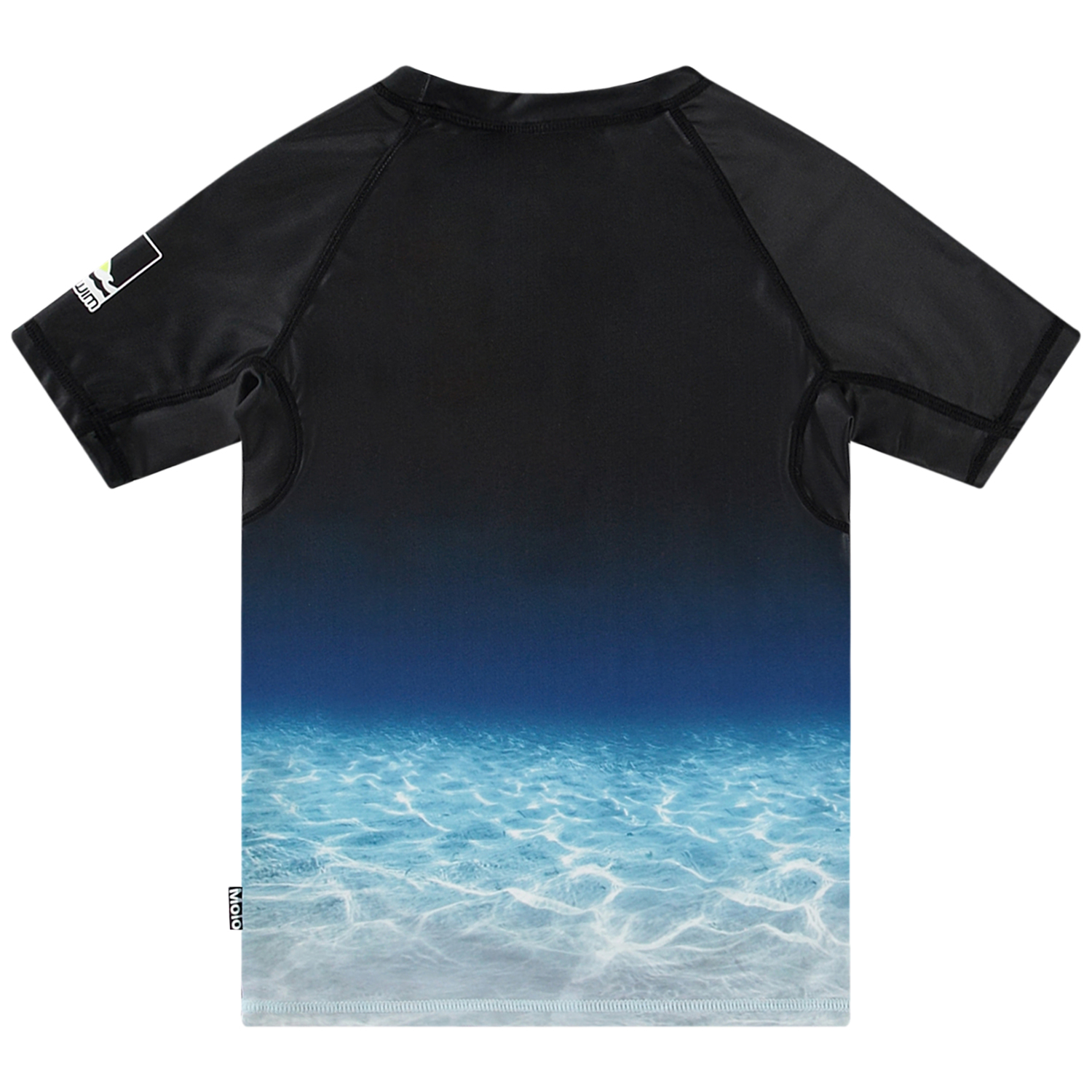 Neptune - Faded Shark