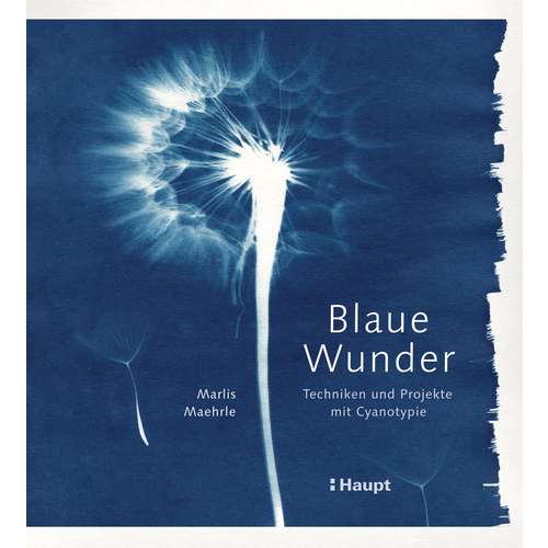 Blaue Wunder - Techniken und Projekte mit Cyanotypie