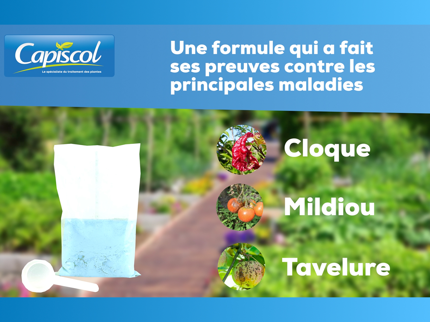 Bouillie bordelaise potager et verger | 800g de poudre | 128l de solut