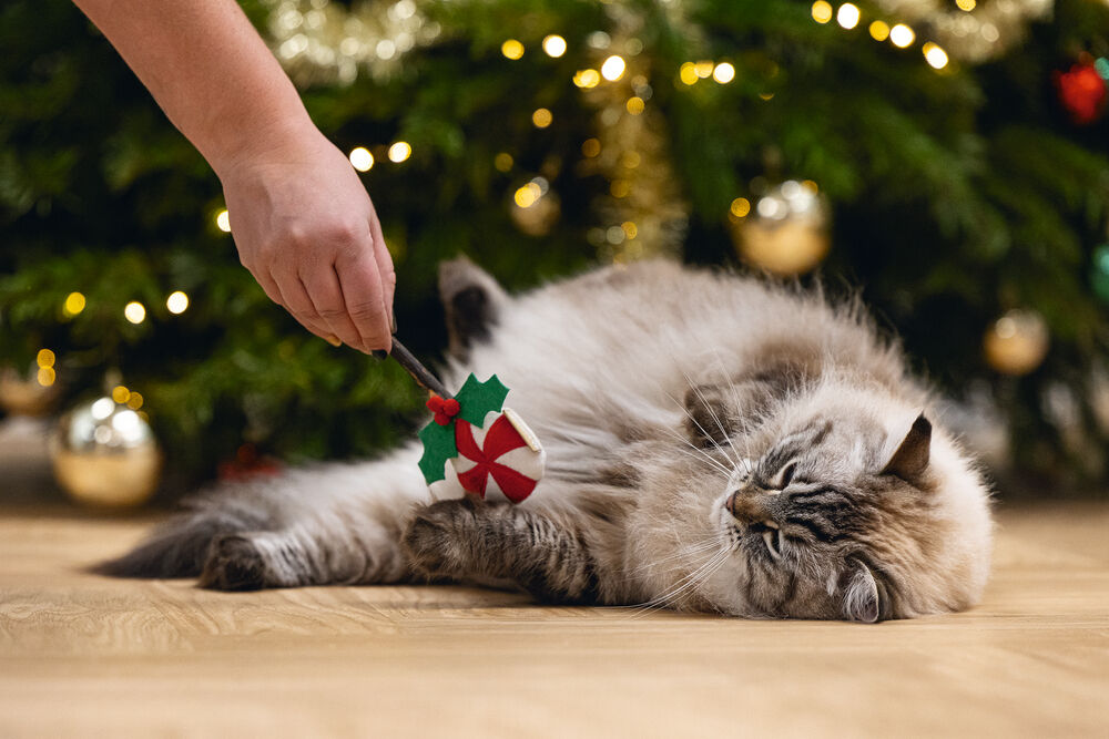 Beeztees Kerstlolly Matatabi - Kattenspeeltje - 14 cm