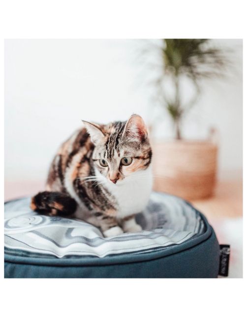 District 70 Tin Pouf Iron - Kattenmand - Ø45x15 cm Grijs