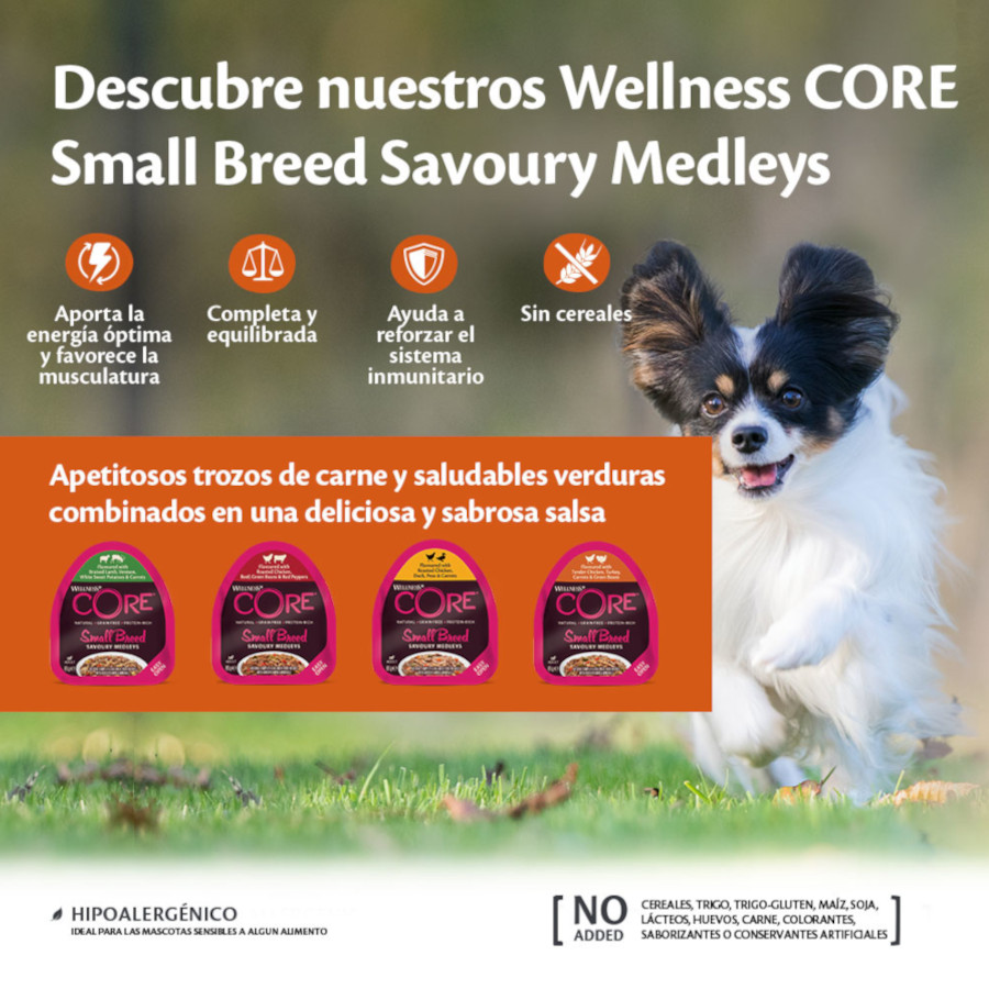 Pote de 85g de ração para cães de raças pequenas Wellness Core, sem grãos, com frango e carne bovina.