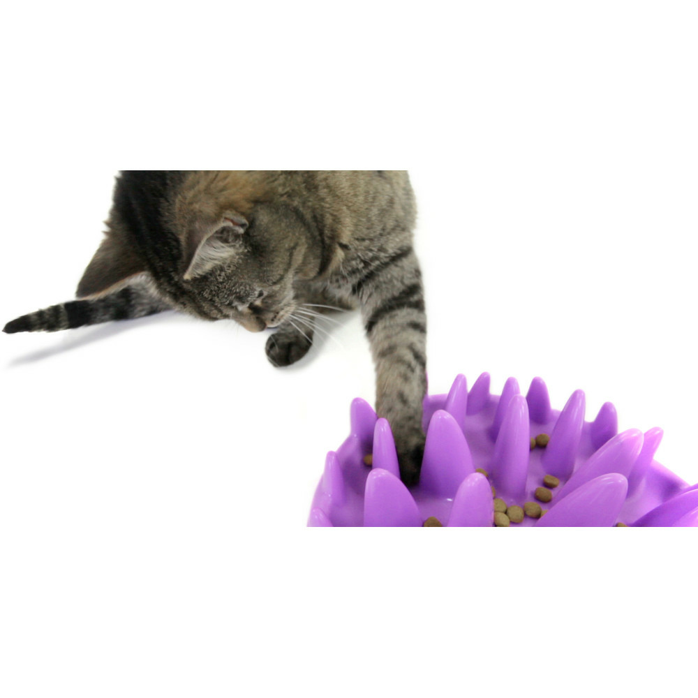 Gamelle plateau anti glouton 27 cm violet pour chat
