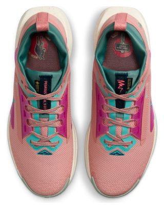 Chaussures Trail Nike Pegasus Trail 5 GTX Rose/Bleu Femme