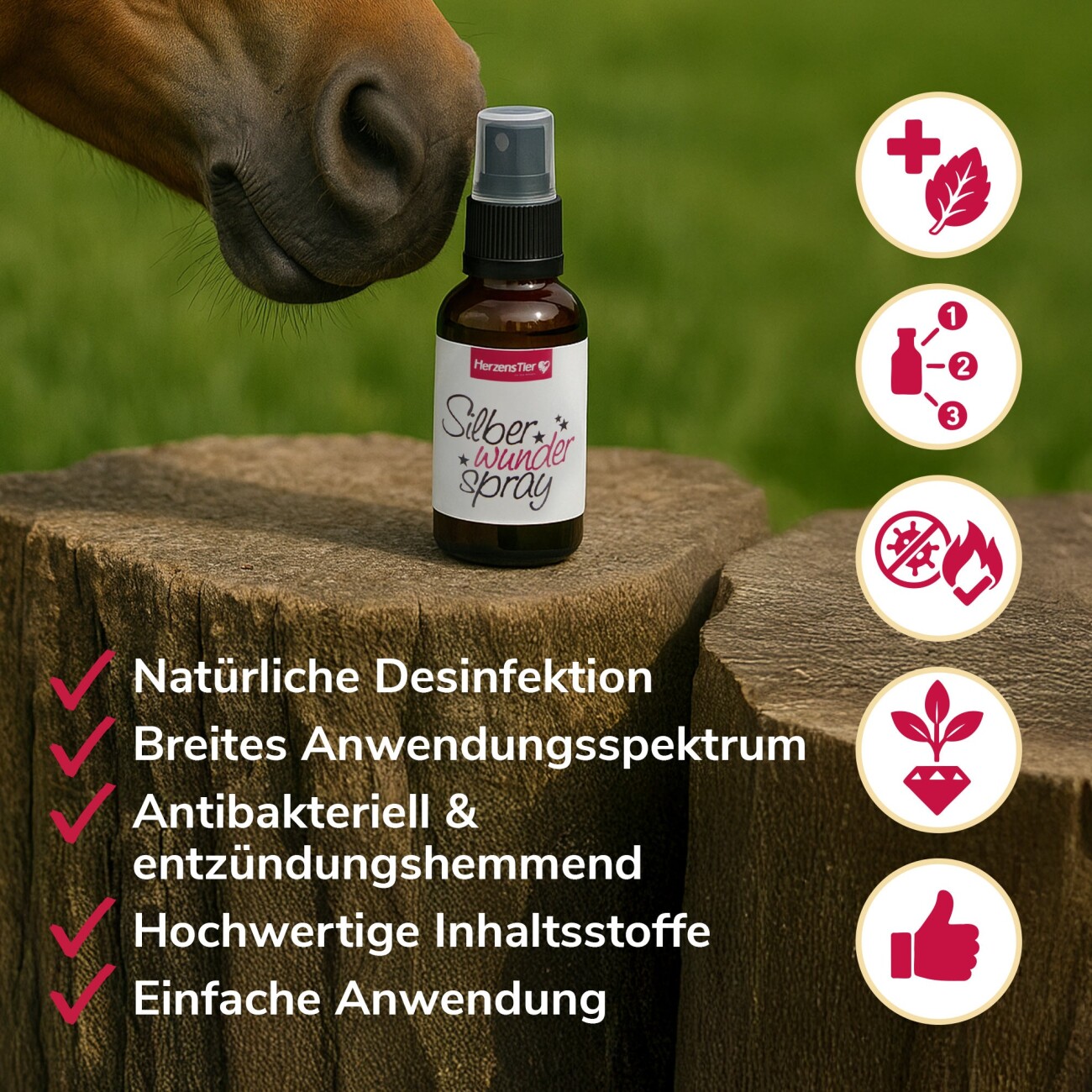 HerzensTier Wundspray Silberwunderspray 30ml