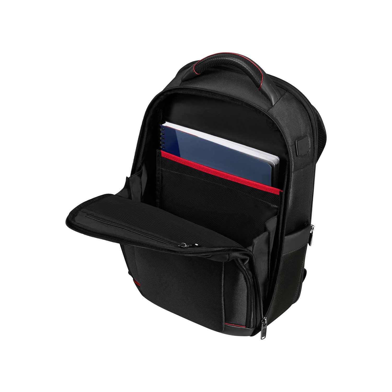 Samsonite Pro-DLX 6 Backpack 14.1'' framed