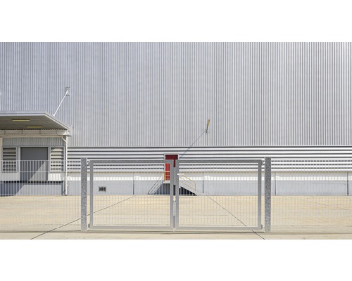 Dubbele poort van metaalgaas, ALBERTS Flexo Plus 8/6/8, 200 x 160 cm, inclusief palen van 8 x 8 cm, thermisch verzinkt