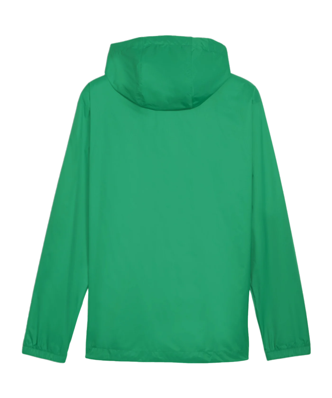 PUMA teamFINAL Allwetterjacke Grün F05