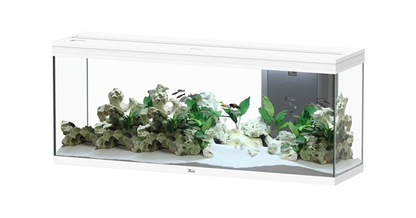 Aquatlantis Splendid 150x40 aquarium | Inclusief LED en filter
