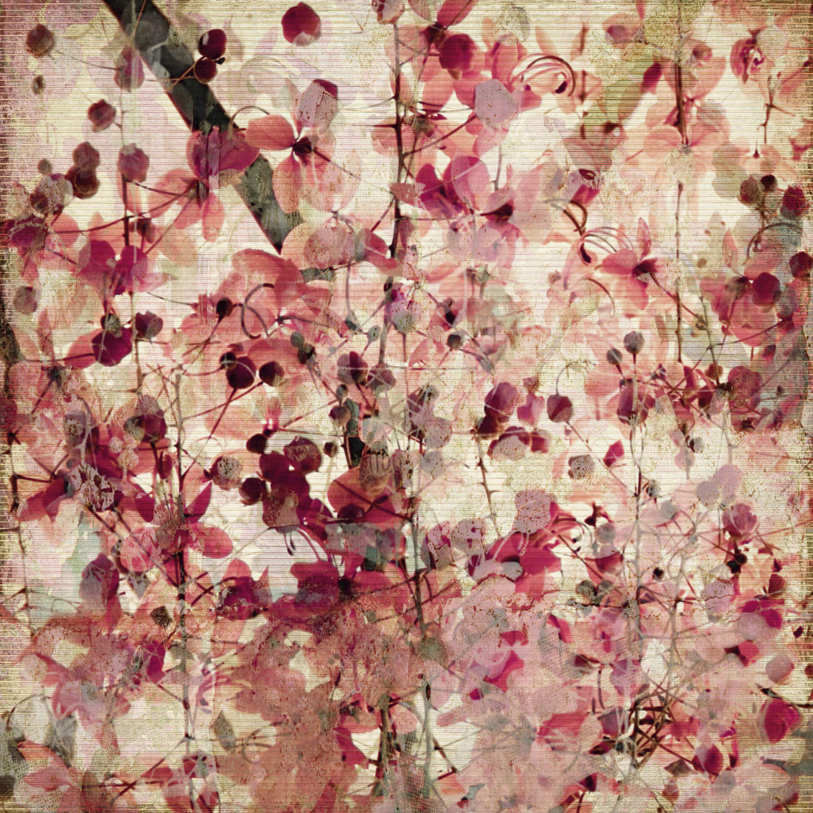 Leinwandbild VINTAGE BLUMEN-MUSTER - rosa-beige - 50x50 cm