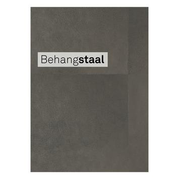 Behangstaal vliesbehang sky bruin (dessin 105740)