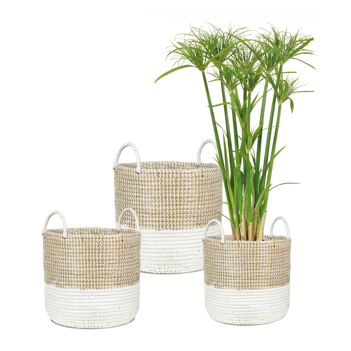 Scheurich Seagrass 39, plantenbak/mandpot met handgrepen van zeegras, kleur: Nature White, diameter 39 cm, hoogte 34 cm, inhoud 38,6 l.
