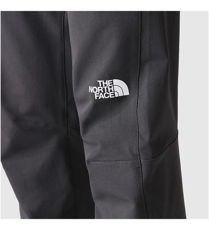 The North Face Men Winter Regular Tapered Broek
