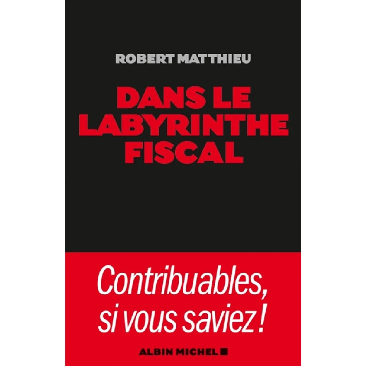 Dans le labyrinthe fiscal · Occasion