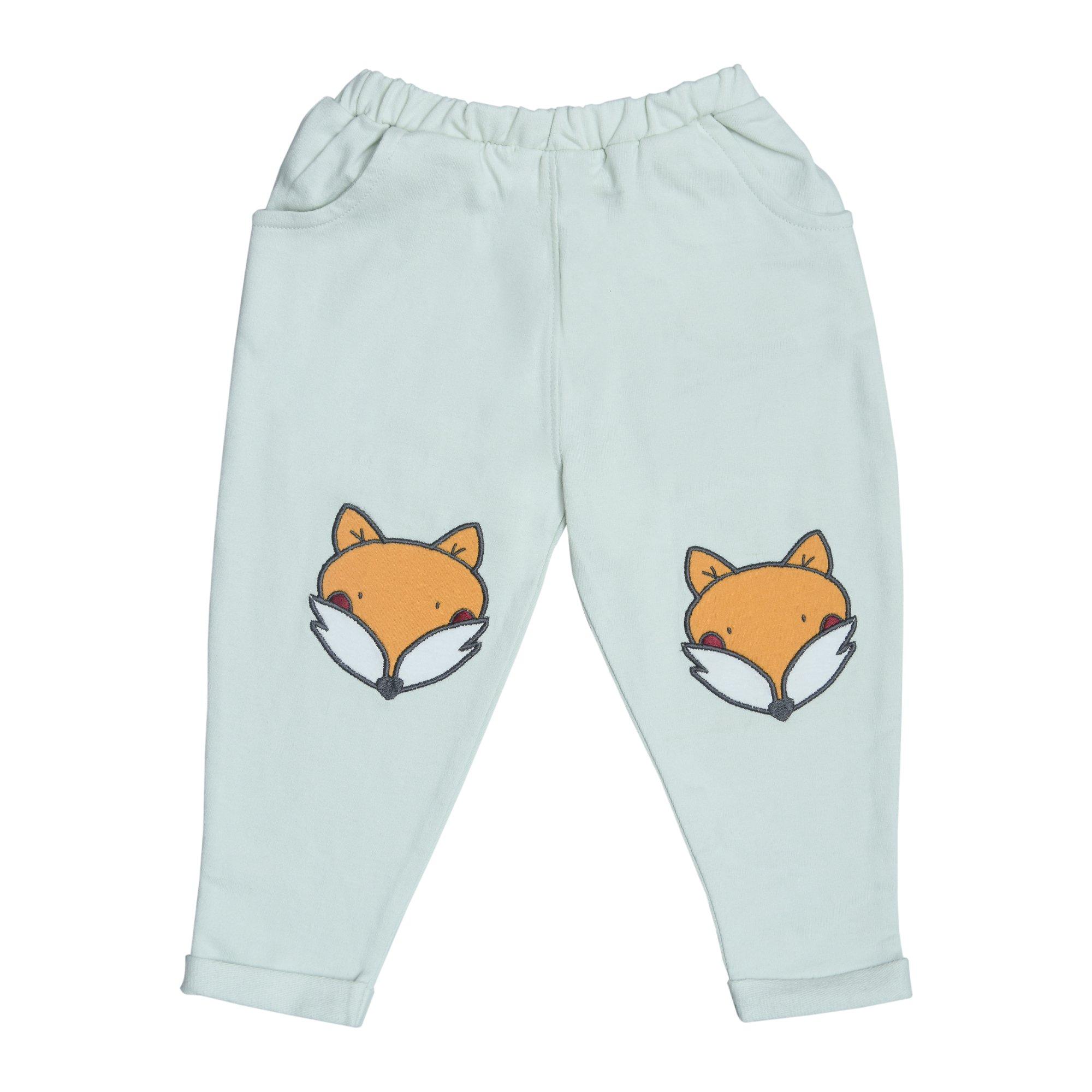Hello World Baby Boy Fox Outfit