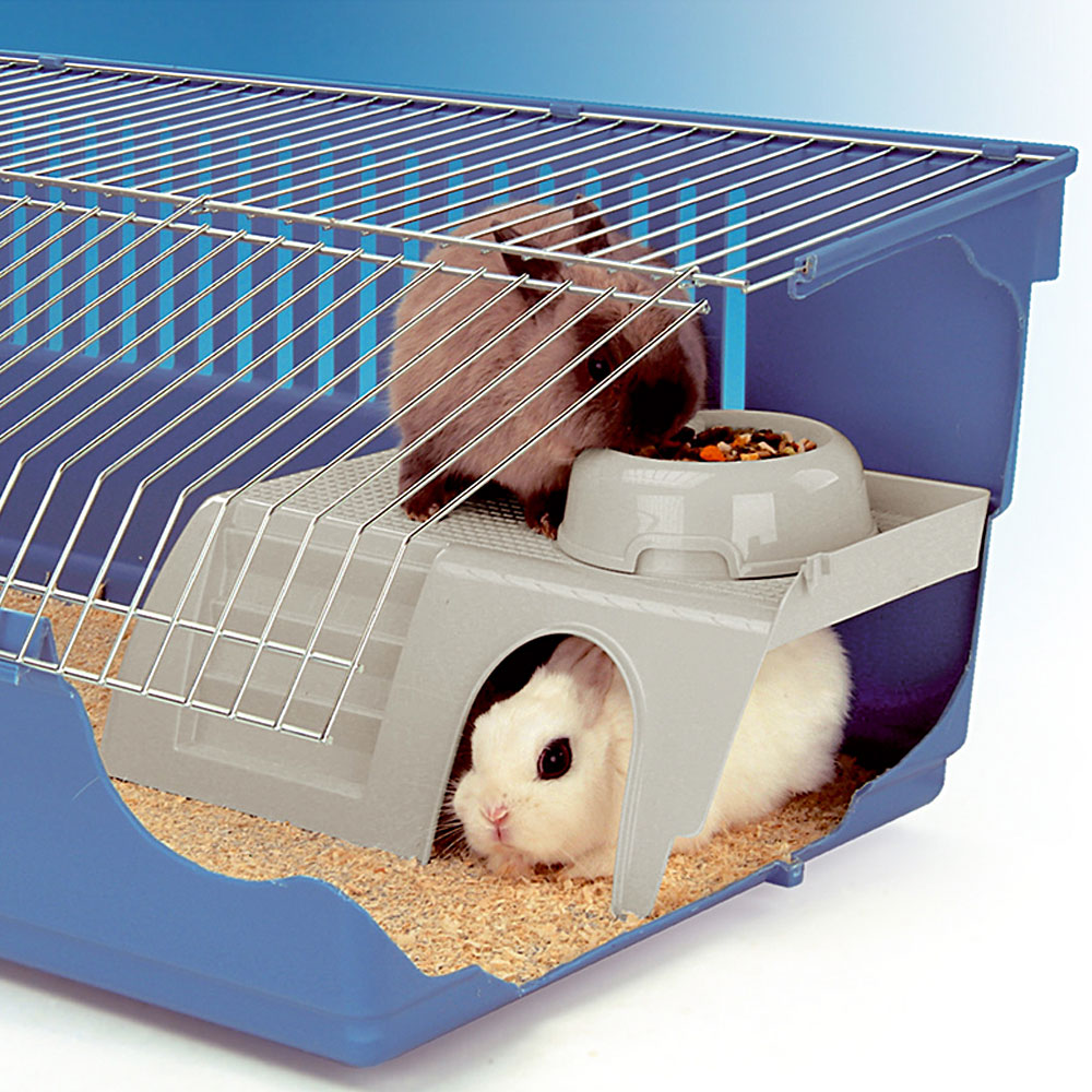 Accessoires rongeurs ferplast pub 3253 maisonnette en plastique pour lapins cochons d’inde