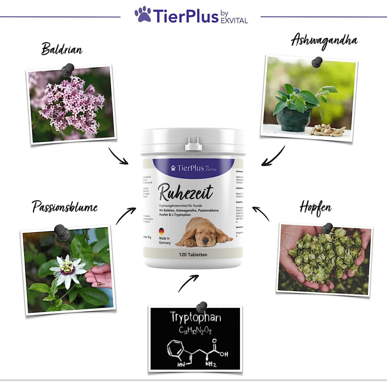 TierPlus ® Ruhezeit mit Baldrian