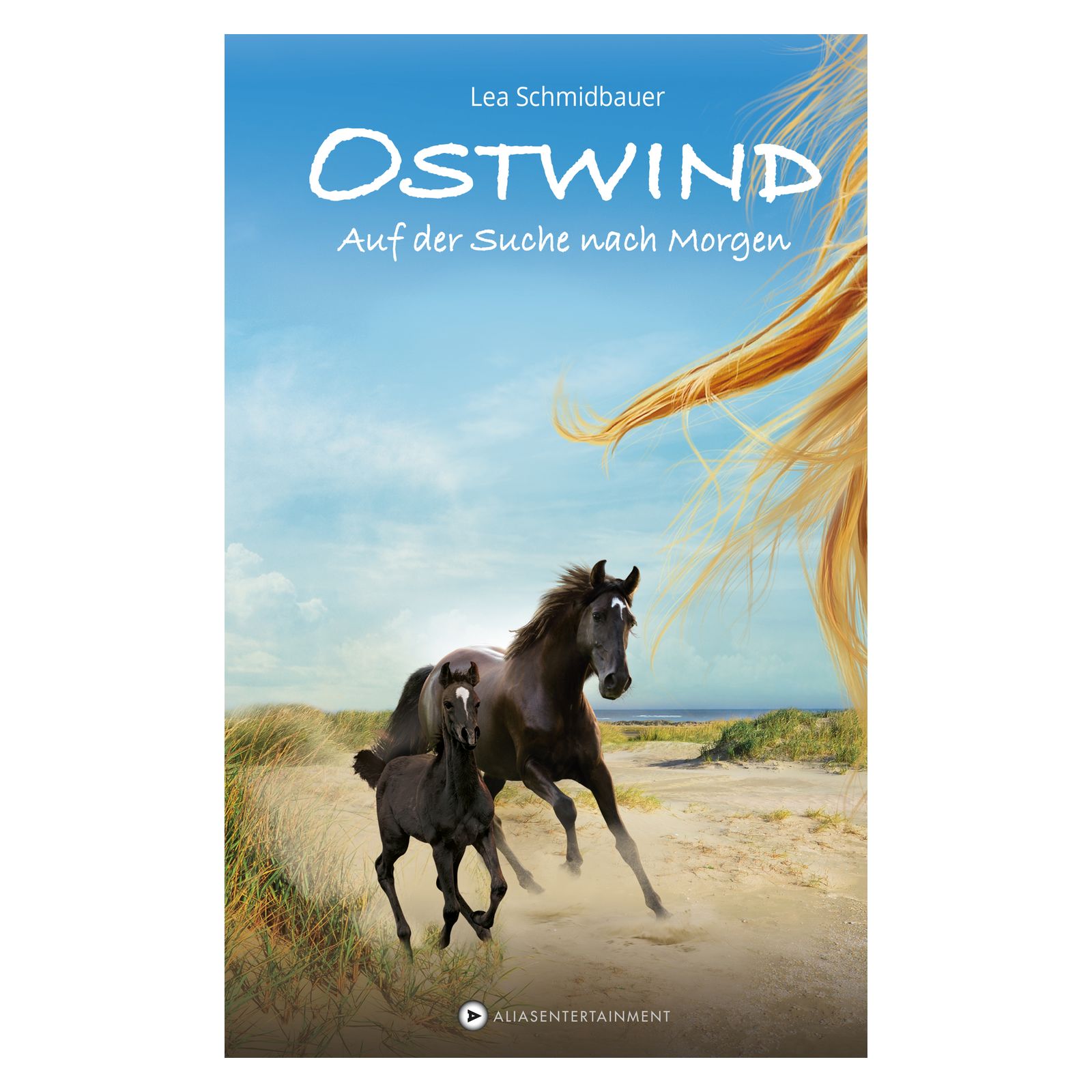 Ostwind - Band 4