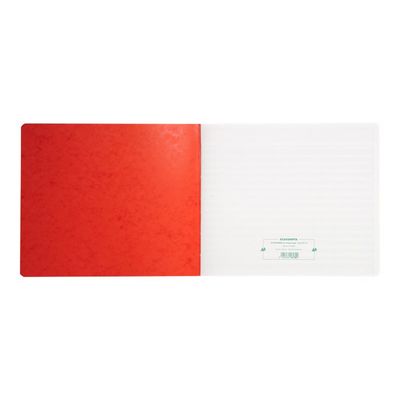 Exacompta - Piqûre tête paresseuse - 13 colonnes par page - 27 x 32 cm