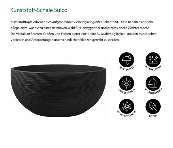Dehner Kunststoff-Schale Sulco, rund,