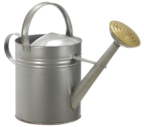 Dehner Blechgießkanne, 9 l