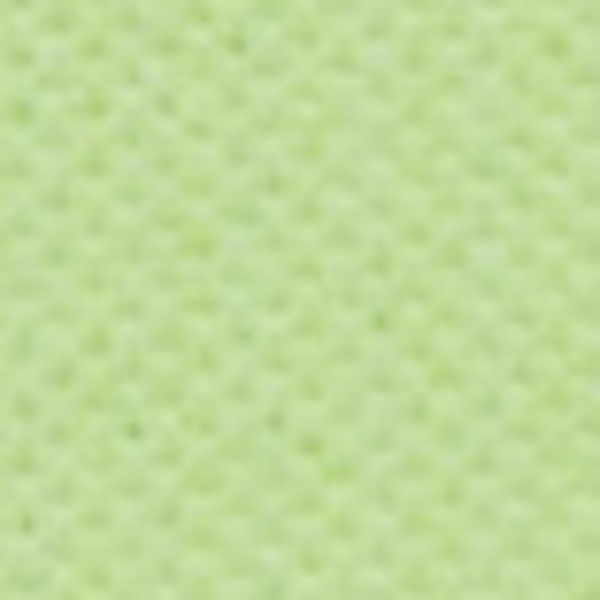 Poloshirt Piqué regular aus reiner Bio-Baumwolle