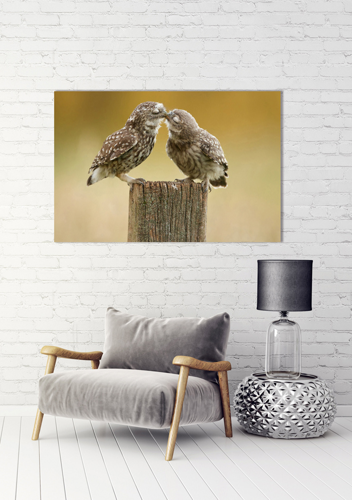 Akustikbild VERLIEBTE KÄUZCHEN 80x120cm, 7kg